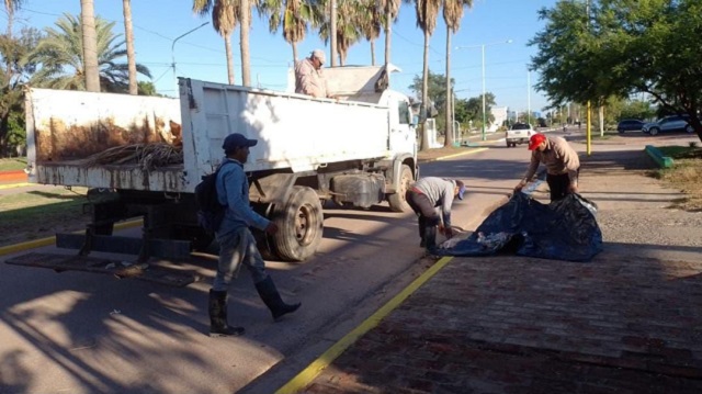 Villa &Aacute;ngela: Trabajos de limpieza y cortes de pasto en la ciudad 