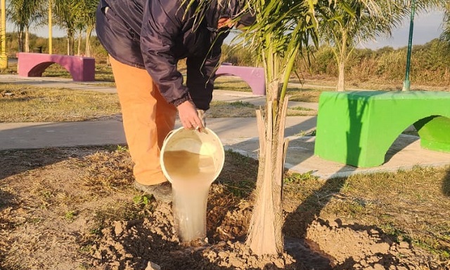 Villa Angela: Equipo de forestación continúa con la limpieza y mantenimiento del acceso 