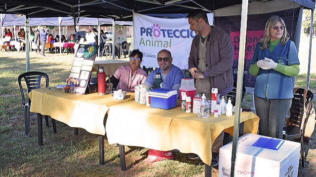 ”Dejando Huellas”: El Programa Provincial de protección animal llegó a la zona sur de Resistencia 