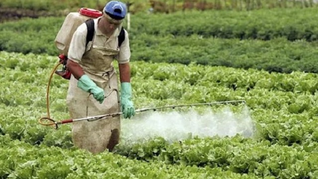 EL GOBIERNO RECUERDA QUE ESTÁ PROHIBIDO APLICAR HERBICIDAS HORMONALES EN CHACO, DESDE EL 1 DE AGOSTO AL 31 DE MARZO