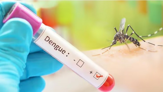 Argentina registra más de 420 mil casos de dengue pero comienza a descender el contagio