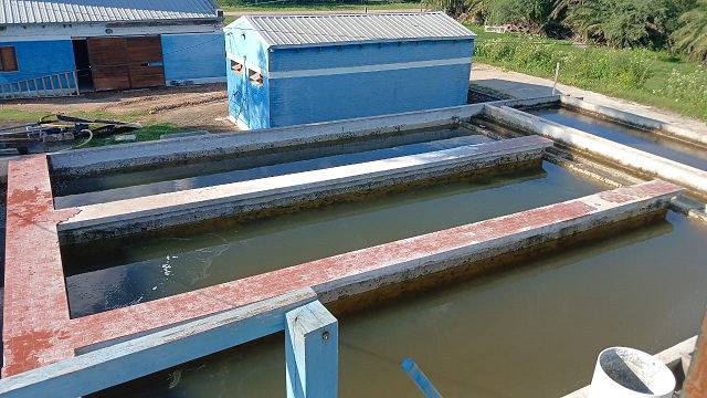 Charadai: Sameep realiza las primeras pruebas en la planta potabilizadora de agua  