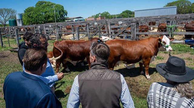 Margarita Belén: El Gobernador Zdero acompañó la apertura de la Exposición Nacional  de Primavera Bradford 2025