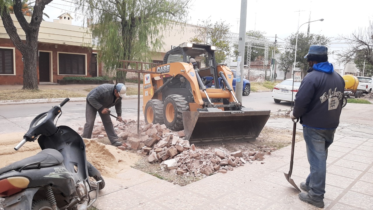 El Municipio retomó tareas de recolección de escombros y ramas  