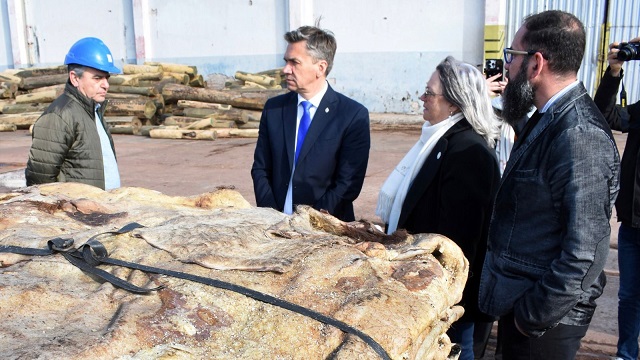 PUERTO DE BARRANQUERAS: EL GOBERNADOR CONSTATÓ LA HISTÓRICA EXPORTACIÓN DE 50 CONTENEDORES DE CUERO SALADO A CHINA