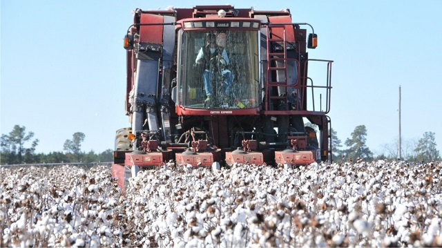 Se lanzó la línea de crédito “NBCH + SEMILLAS” para productores algodoneros 