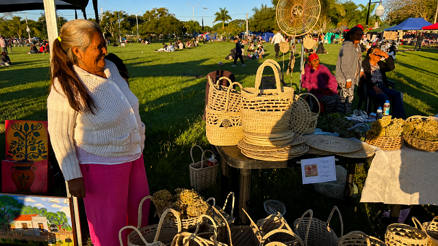 &rdquo;Manos de Nuestra Tierra&rdquo;: Exitoso encuentro de Artesanos Originarios en el Parque de la Democracia