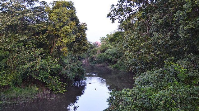 La Ley Nacional de Bosques 26.331 es de suma importancia para la Provincia del Chaco 