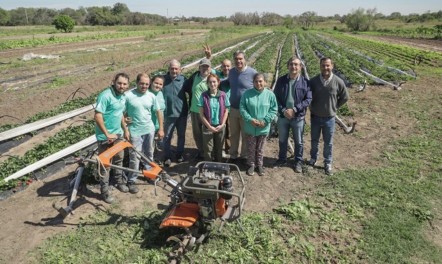 Emprendimiento productivo de Colonia Benítez apuesta al desarrollo de la agricultura familiar con apoyo estatal