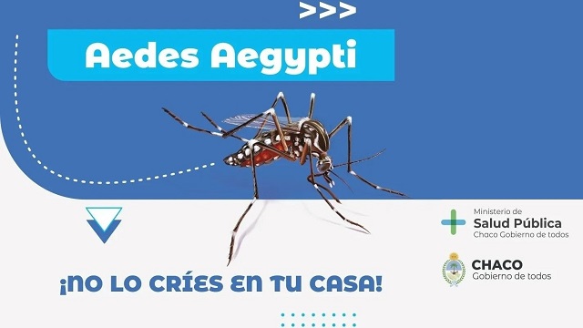 Dengue: Chaco registró 127 casos positivos en la última semana