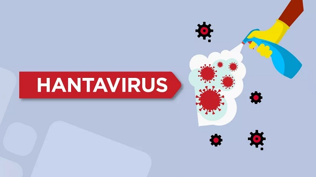 Recomendaciones para la prevención del Hantavirus
