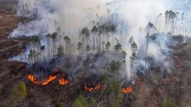 Seis provincias registran incendios forestales activos