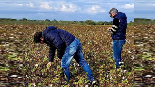 Ahora Mas Campo: El Gobierno Provincial hace un seguimiento y verifica lotes de algodoneros asistidos 