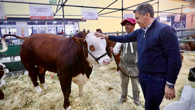 El Gobernador Zdero presente en la Expo Rural de Palermo: El Chaco muestra su potencial productivo a todo el País 