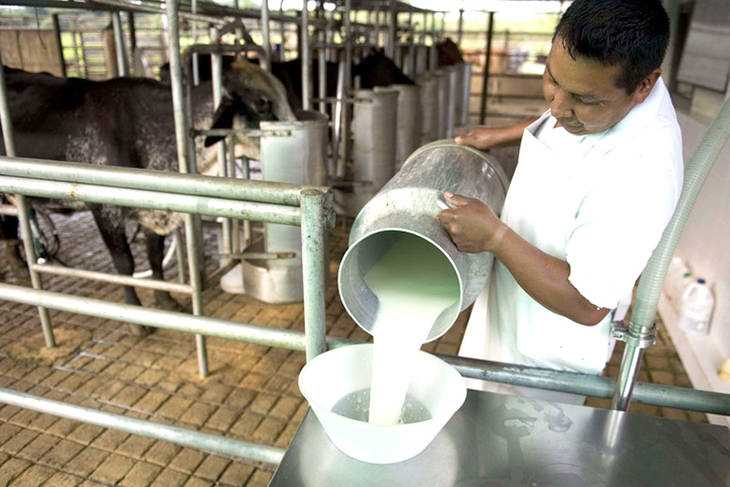 La industria láctea advirtió sobre posible faltante de leche por paro del sector