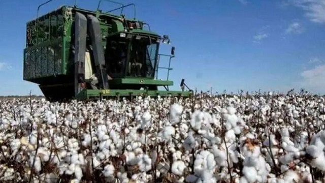 El Concejo Federal Agropecuario se reúne en Resistencia  