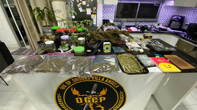  DESBARATAN PUNTOS DE VENTA Y CULTIVO DE MARIHUANA EN CORONEL DU GRATY