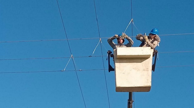 Colonia Popular: SECHEEP refuerza el Servicio Eléctrico con limpieza de líneas, asistencia técnica y apoyo local