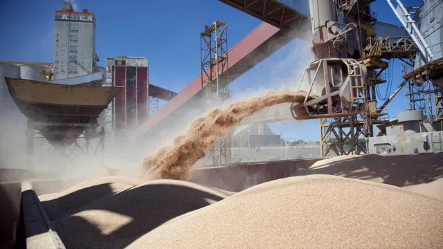 El Gobierno elimina retenciones a los granos hasta el 31 de octubre