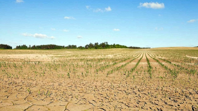 El Gobierno declaró la emergencia agropecuaria para Chaco y Santa Fe