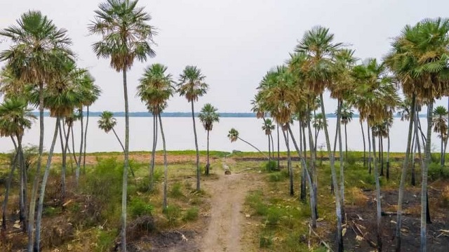 Diputados nacionales tratarán este miércoles 25 la creación del Parque Laguna El Palmar en Chaco
