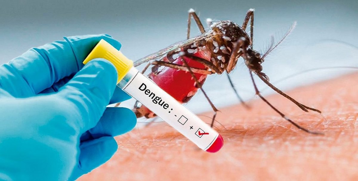 Se actualizó datos sobre Dengue
