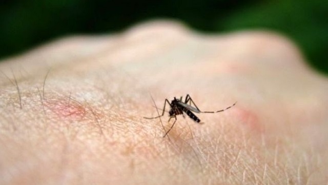El Ministerio de Salud Pública confirman un caso de chikungunya no autóctono en el Chaco