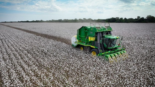 Capitanich repudió la derogación del Fondo Algodonero y apuntó contra Milei y Zdero por las graves consecuencias para los productores chaqueños