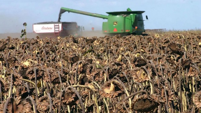 Productores Chaqueños comienzan a recibir autorizaciones sistemáticas de Cartas de Porte 