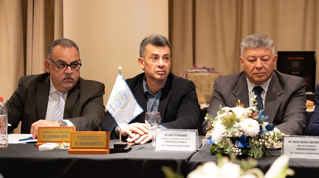 Chaco se comprometió con la Seguridad Regional en el Plenario de Vicegobernadores del Norte Grande 
