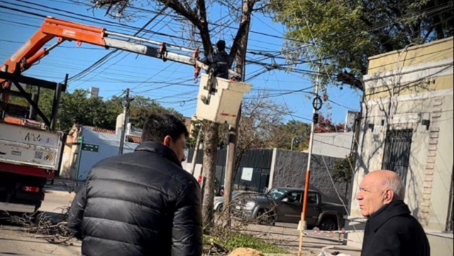 Secheep refuerza el alumbrado público con tareas de poda responsable en el centro y barrios del Gran Resistencia