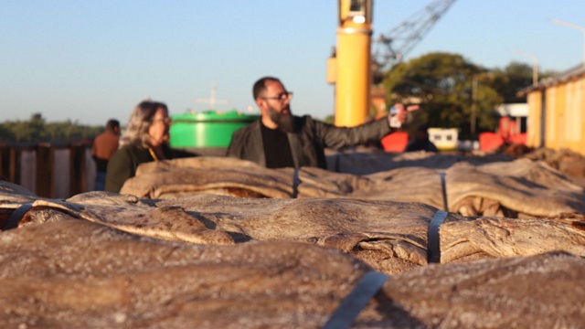 EXPORTACIÓN HISTÓRICA DESDE EL PUERTO DE BARRANQUERAS: SALIDA DEL PRIMER CARGAMENTO DE CUERO SALADO CON DESTINO A CHINA