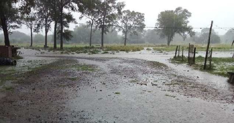 Villa Berthet: “Las lluvias trajeron alivio para los productores, que estaban atravesando por una sequía histórica”