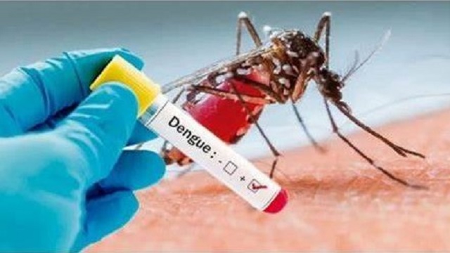 Salud Pública brinda el parte epidemiológico de Dengue 