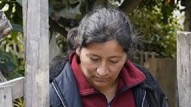 La fiscal del caso Loan apunt&oacute; contra Laudelina: supone que plant&oacute; una prueba