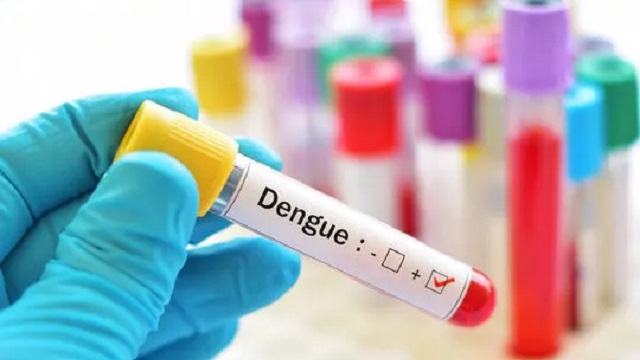 Sin Casos Positivos: Chaco refuerza la prevenci&oacute;n y el control del dengue 