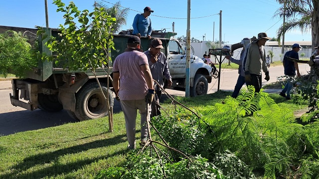 Villa &Aacute;ngela: Medioambiente contin&uacute;a con las tareas de recolecci&oacute;n de ramas y descacharrado en la ciudad 