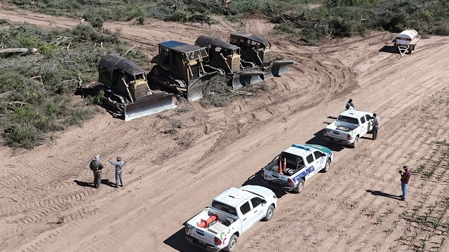Desmonte Ilegal en R&iacute;o Muerto: &ldquo;Van a tener que vender el campo para pagar la multa&rdquo; afirm&oacute; Dudik