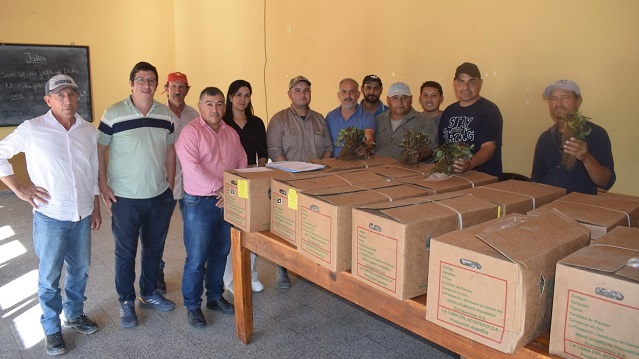 Producción: Las primeras frutillas del programa Ñande marcan un nuevo paso para los pequeños productores